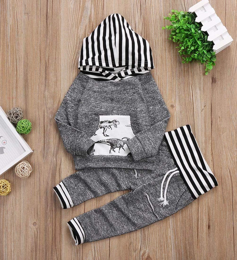 Toddler Infant Baby Boy Clothes Hoodie Fall Winter Sweatsuit Pants Gender Neutral Long Sleeve Outfit Set