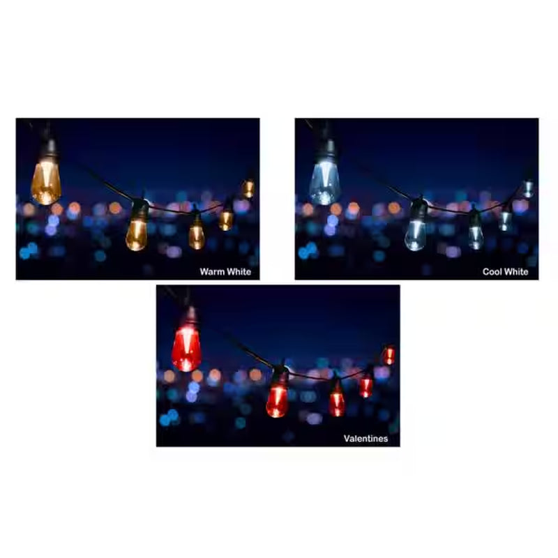 24 Ft - 12 Color Changing Shatter Proof LED Lights - Holiday Cafe Bistro Lights - 14 Holiday Light Sequences