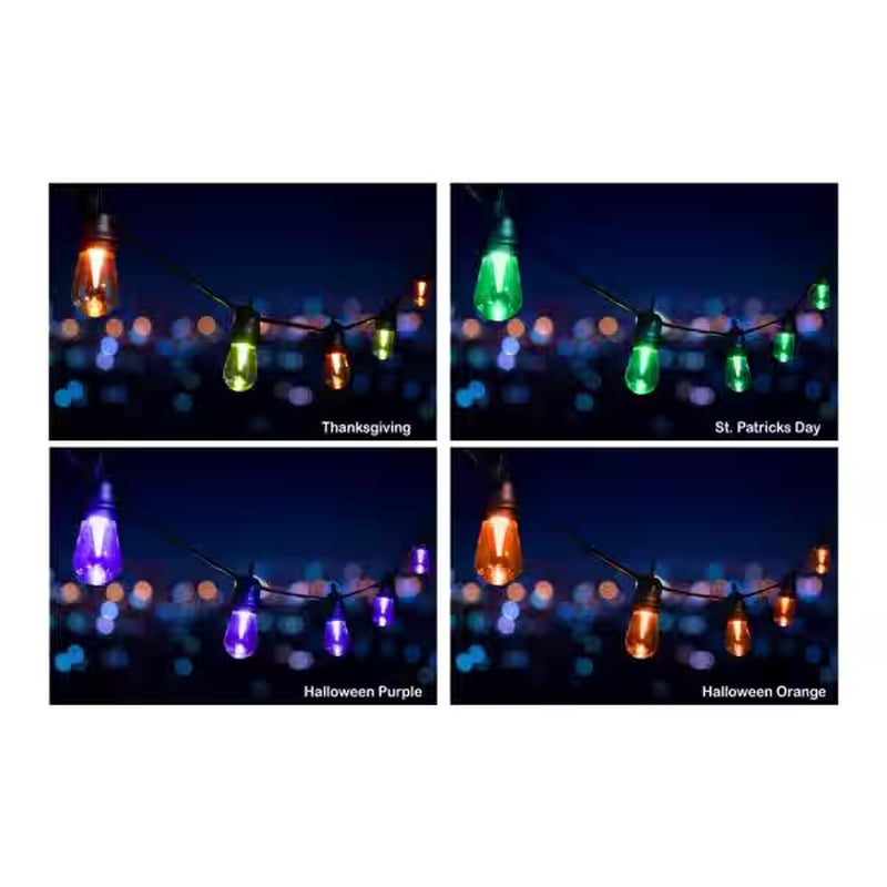 24 Ft - 12 Color Changing Shatter Proof LED Lights - Holiday Cafe Bistro Lights - 14 Holiday Light Sequences