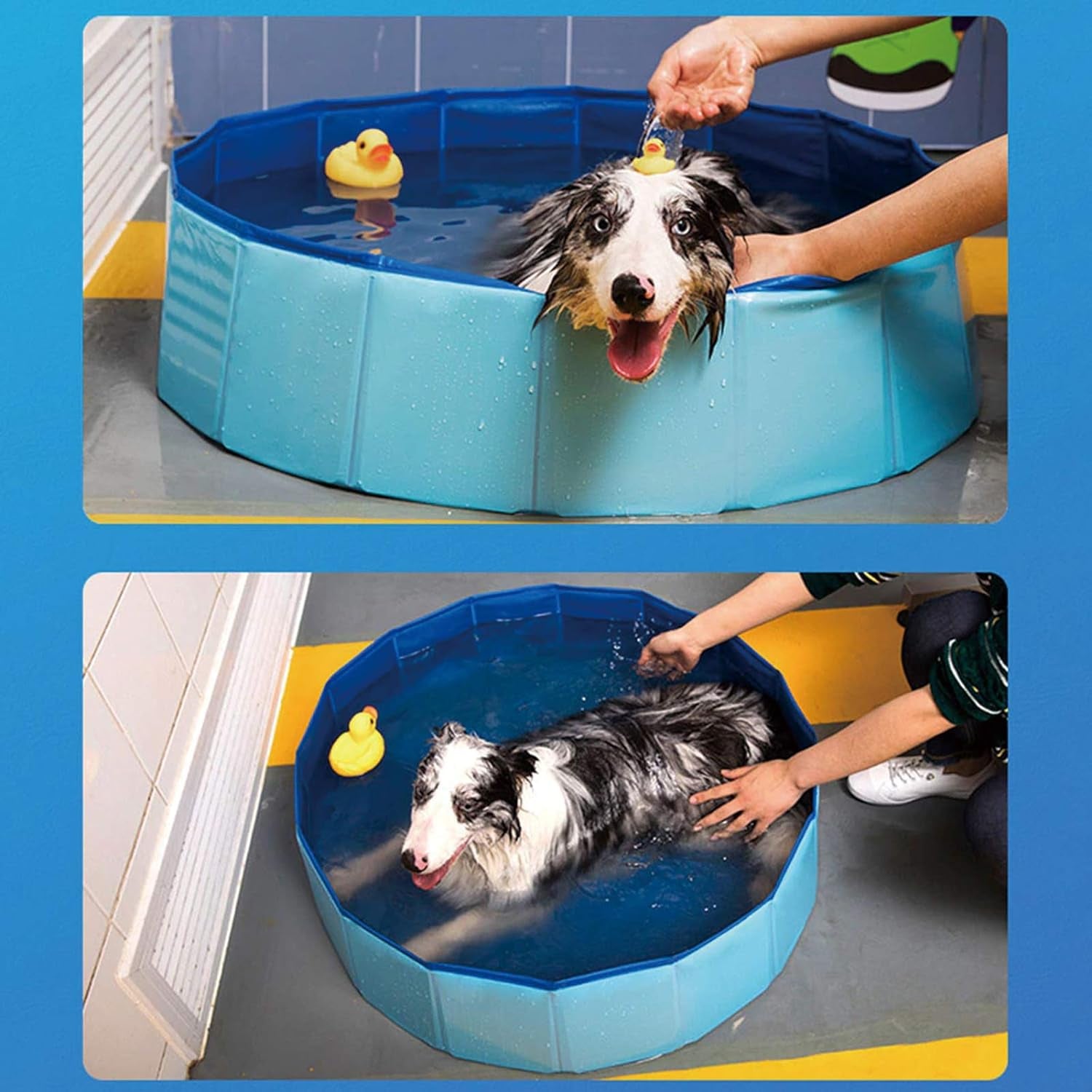 Dreiwasser Dog Pool Foldable Pet Outdoor Swimming Pool Collapsible Anti-Slip Hard PVC Pet Paddling Bathtub for Large and Xtra Large Dogs, Kids, Pets((63'' * 12'')/(160Cm X 30Cm))