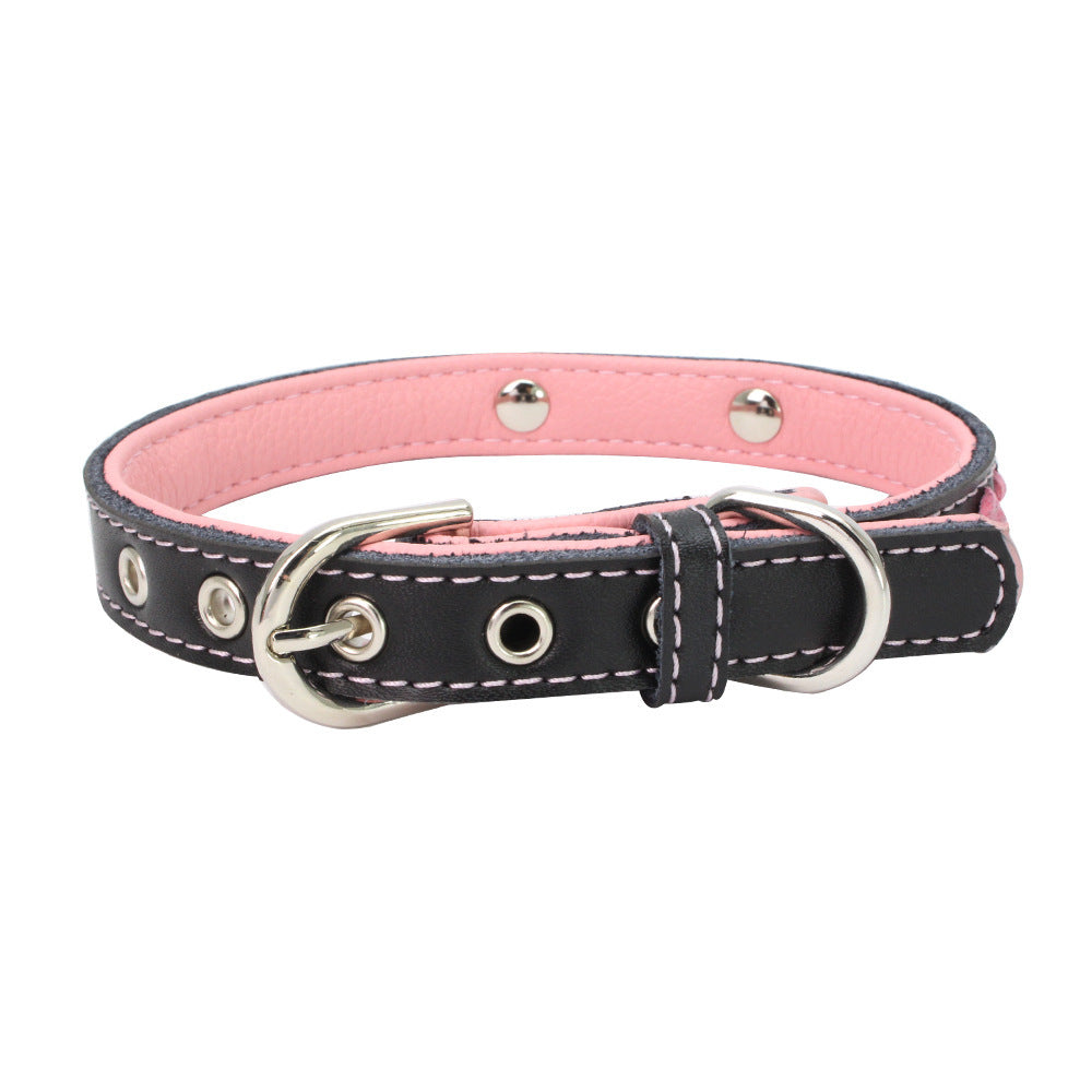 Stainless Steel Iron Dog Collar with Laser Lettering