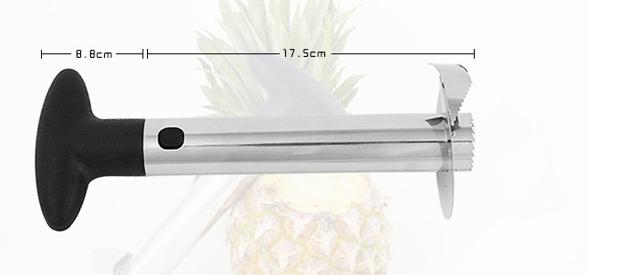Stainless Steel Pineapple Peeler | Kitchen Accessories | Just Flushz