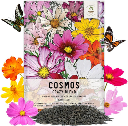 , 3,000+ Crazy Cosmos Seeds Wildflower Mix/Mixture (Cosmos Bipinnatus) Mixed Color Blooms Attract Bees & Butterflies/Monarchs, Blend Includes 10+ Varieties - Open Pollinated - Bulk