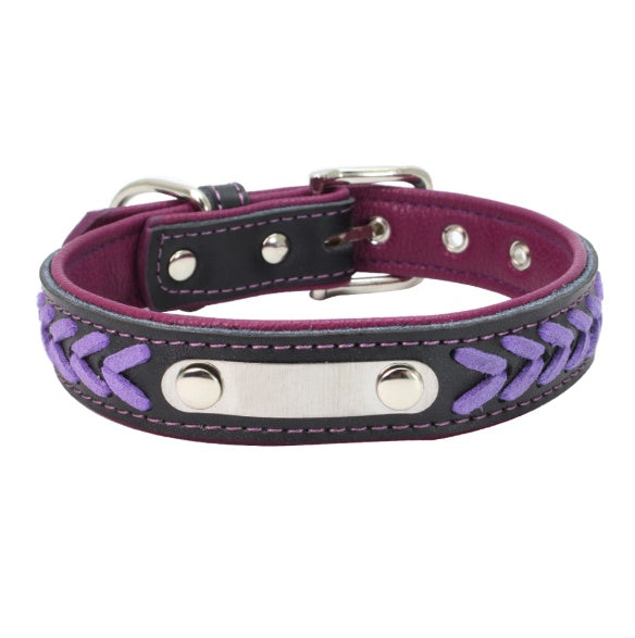 Stainless Steel Iron Dog Collar with Laser Lettering