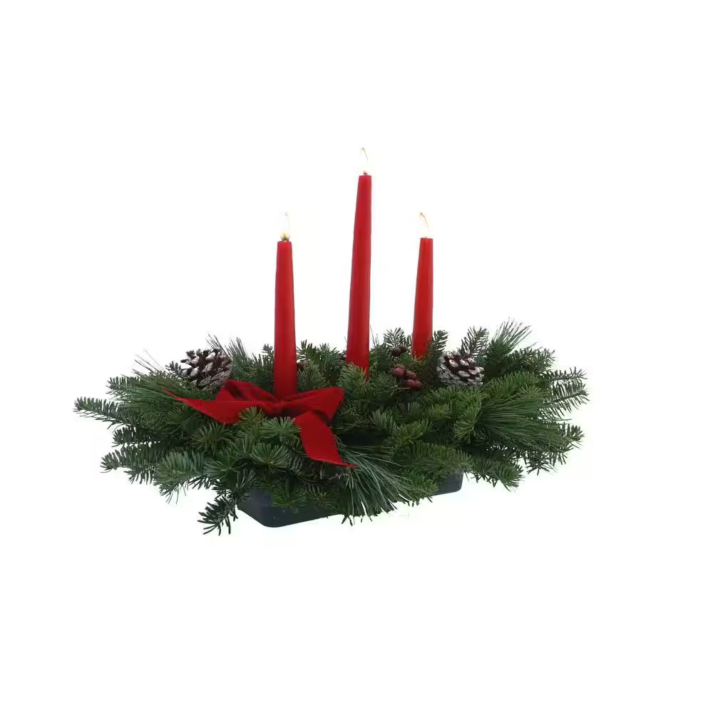 Balsam Fir Classic 3 Candle Fresh Centerpiece : Multiple Ship Weeks Available