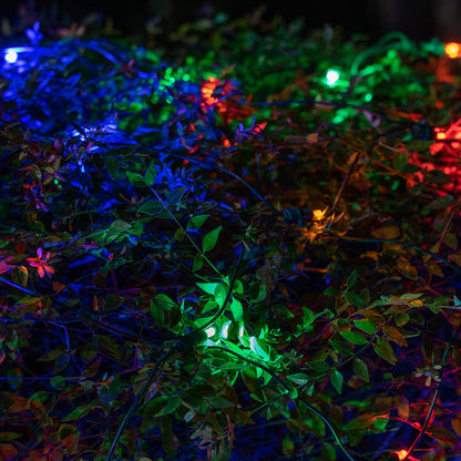 Softtwinkle 70 4-Ft X 6-Ft Twinkling Multicolor Christmas Net Lights